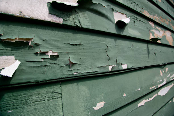 Best Garage Cleanout  in Port Allen, LA