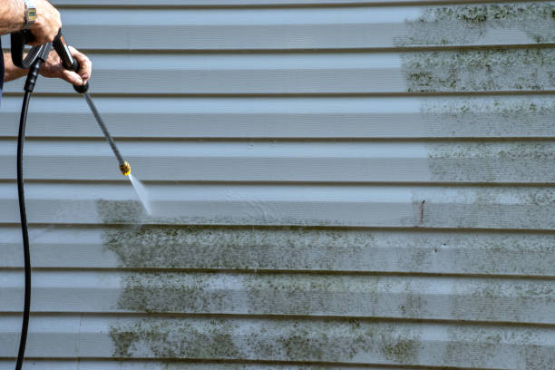 Best Property Management Cleanouts  in Port Allen, LA